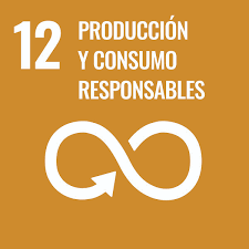 produccin y consumo responsable