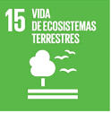 ecosistemas terrestres