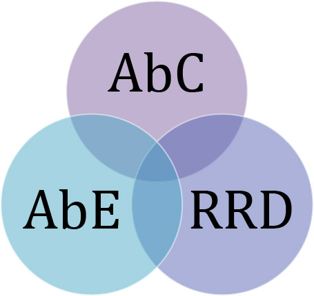 enfoques/reas/accin