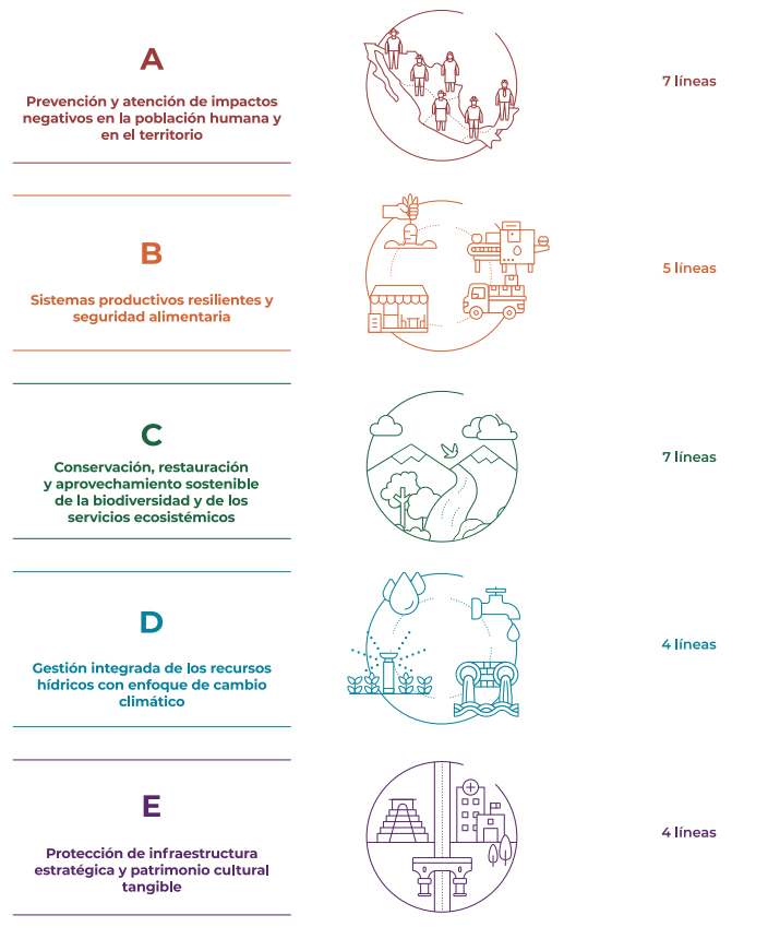 Adaptacin NDC