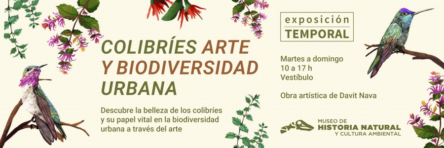 Banner Colibries Web 2026