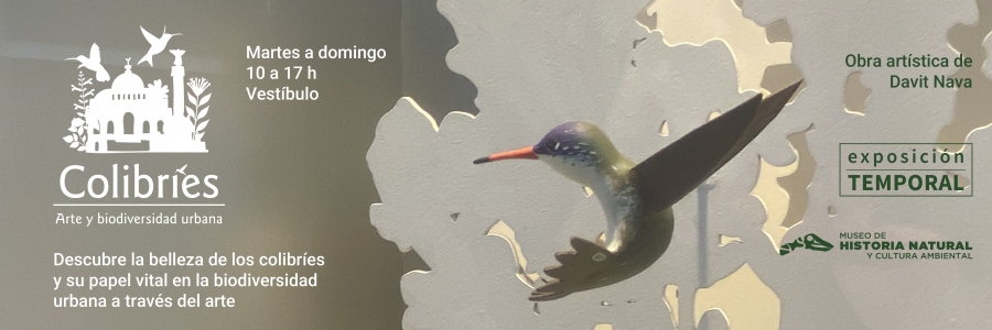 Banners Pagina Web 2026_Colibries