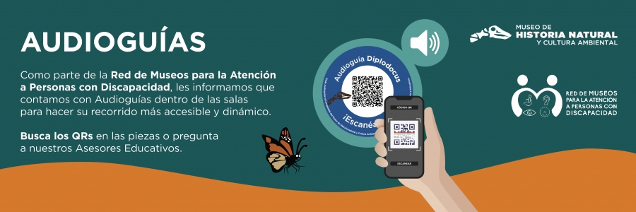 Banner Pagina Web Audiogias_Mesa de trabajo 1 copia 9