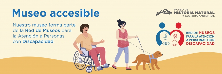 Banners Pagina Web 2026_Museo accesible