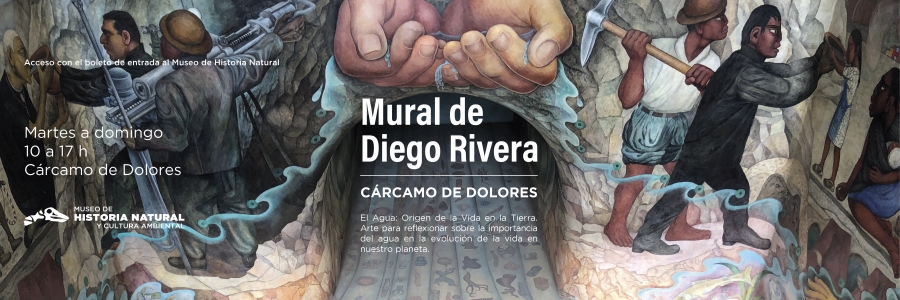Banner web_marzo 2025_CARCAMO