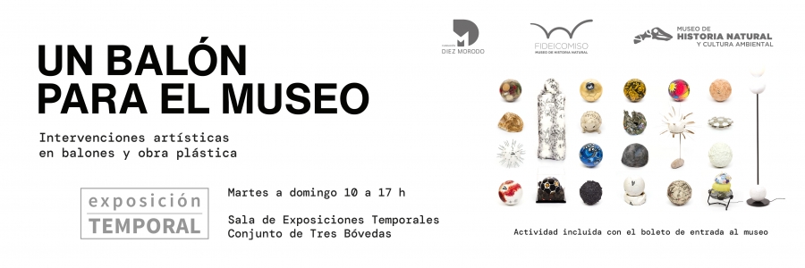 Banners Pagina Web 2025_Un balon por el museo