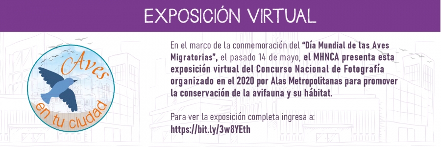 banners_Mesa de trabajo 1 copia 7