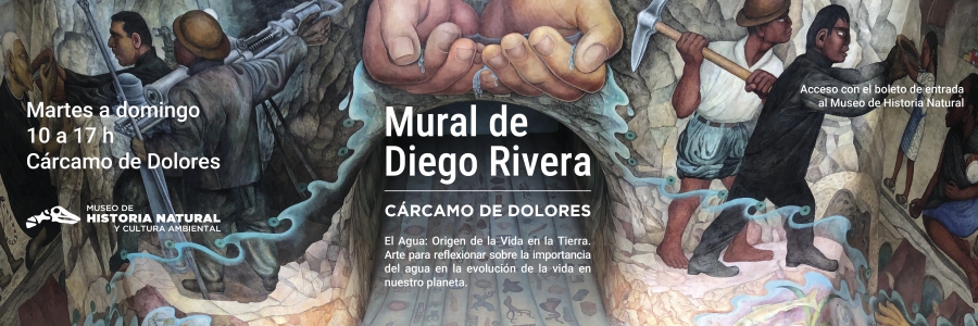 Banners Pagina Web 2026_Mural