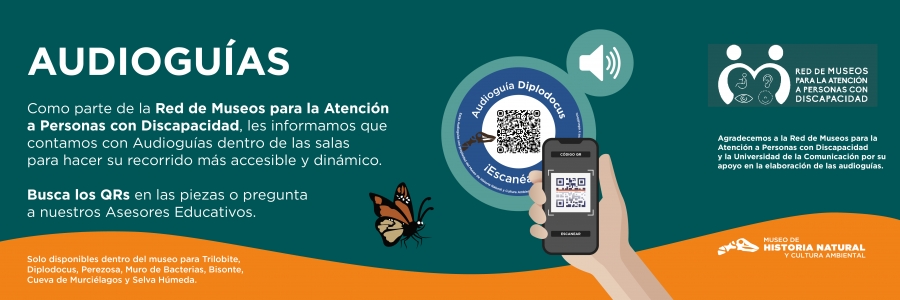 Banners Pagina Web 2026_Audioguias