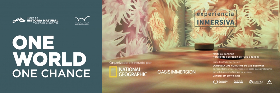 Banner web_marzo 2025_One World