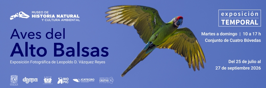 Banner Pagina Web_Alto Balsas