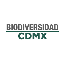 Biodiversidad CDMX