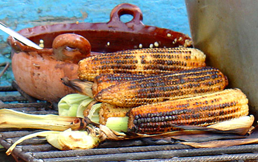 Elotes asados y esquites