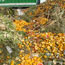 image09