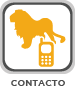 Contacto