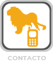 Contacto