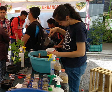 Huertos urbanos en los tres centros de cultura ambiental