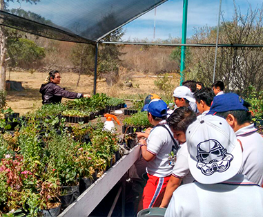 Visita guiada + Taller de huertos urbanos en Yautlica