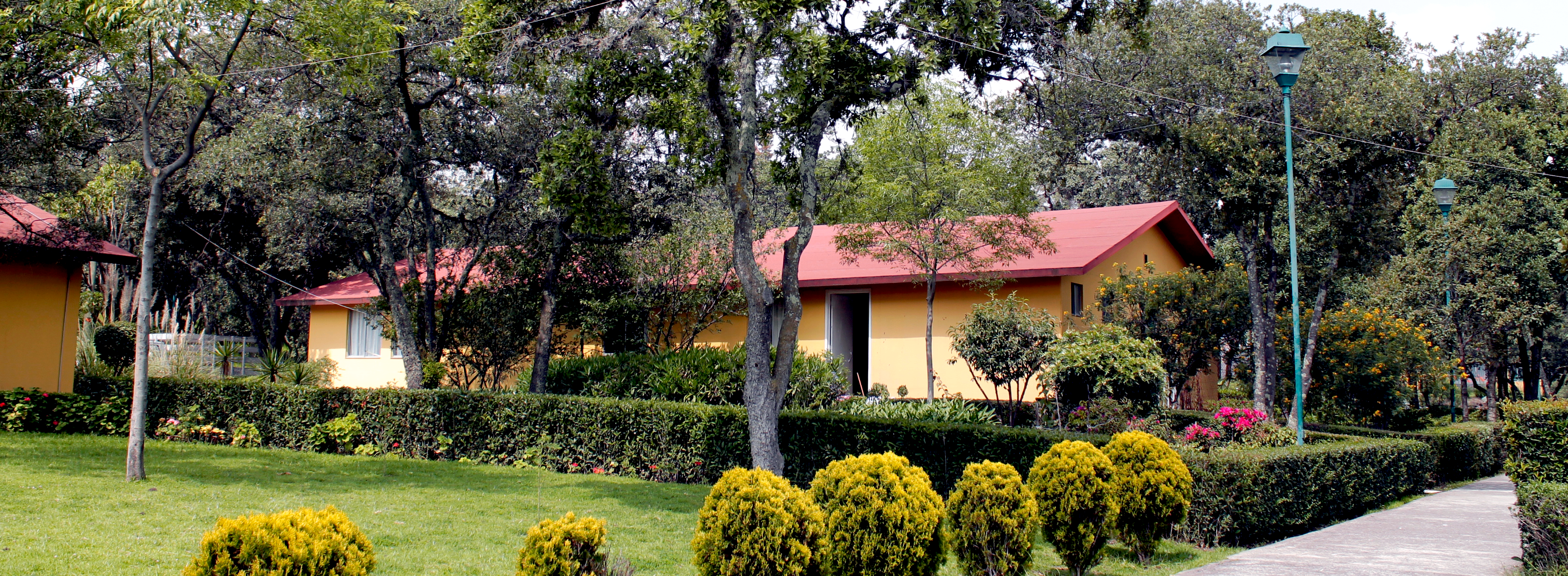 Jardín