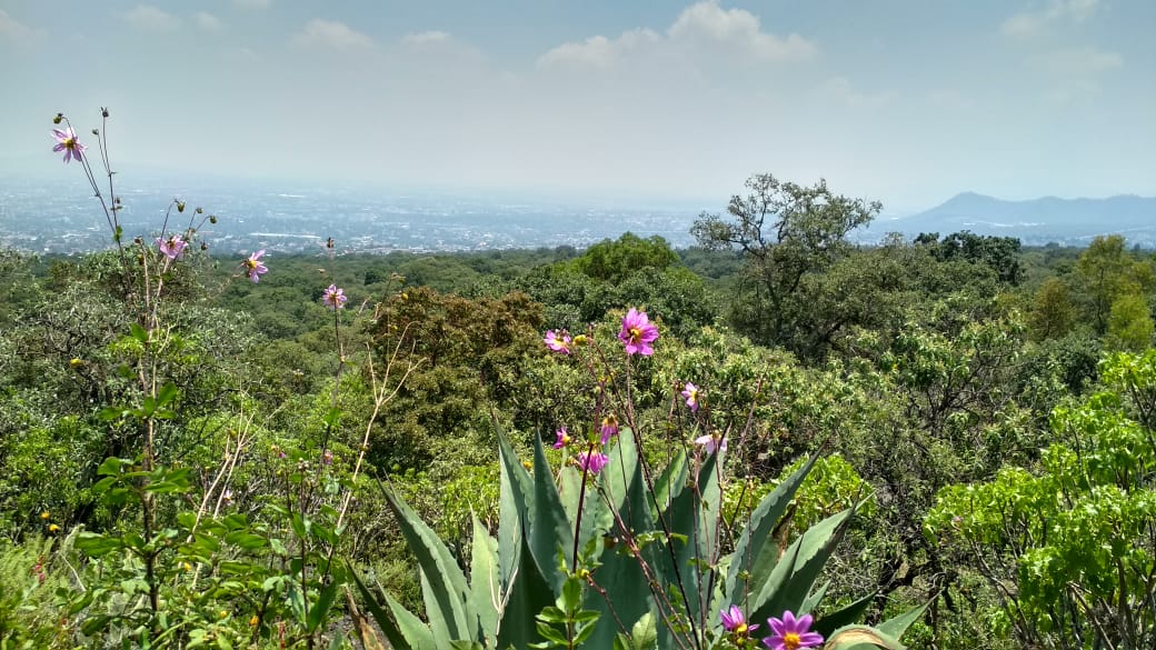 Sierra de Santa Catarina