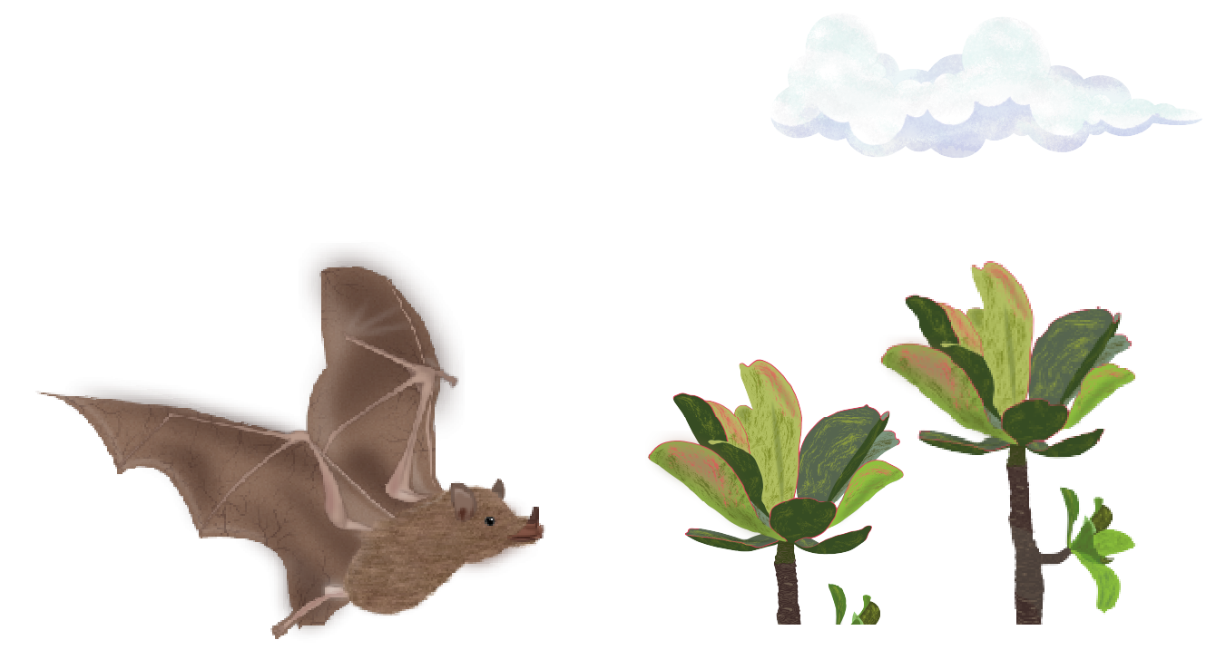 Murciélago polinizador junto a plantas suculentas nativas