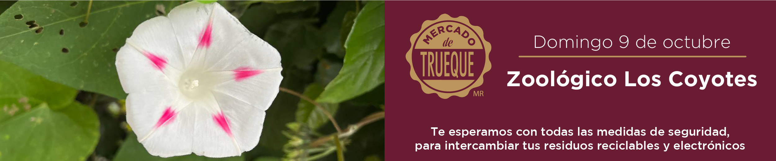 reciclatrón