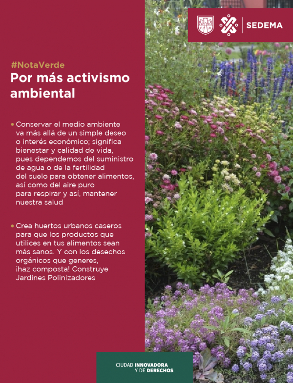 Por más activismo ambiental