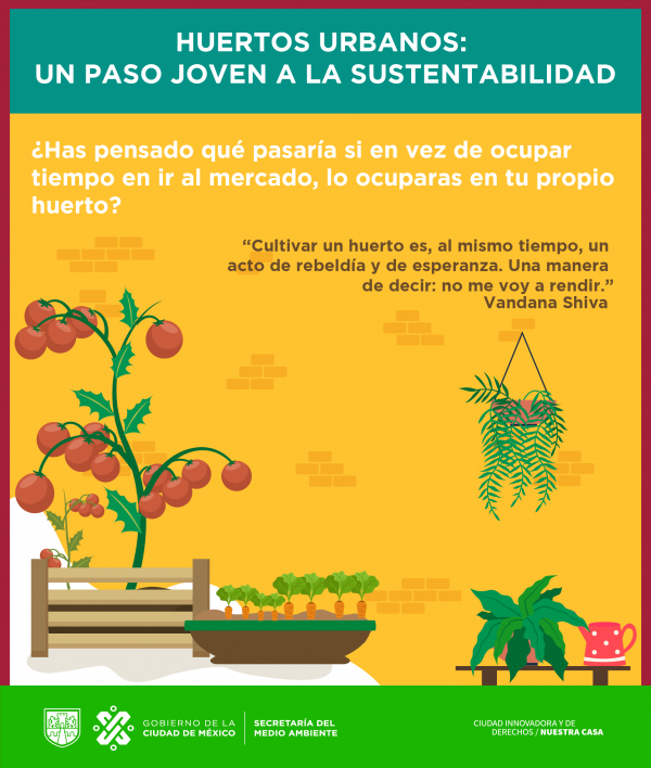 HUERTOS URBANOS: UN PASO JOVEN A LA SUSTENTABILIDAD