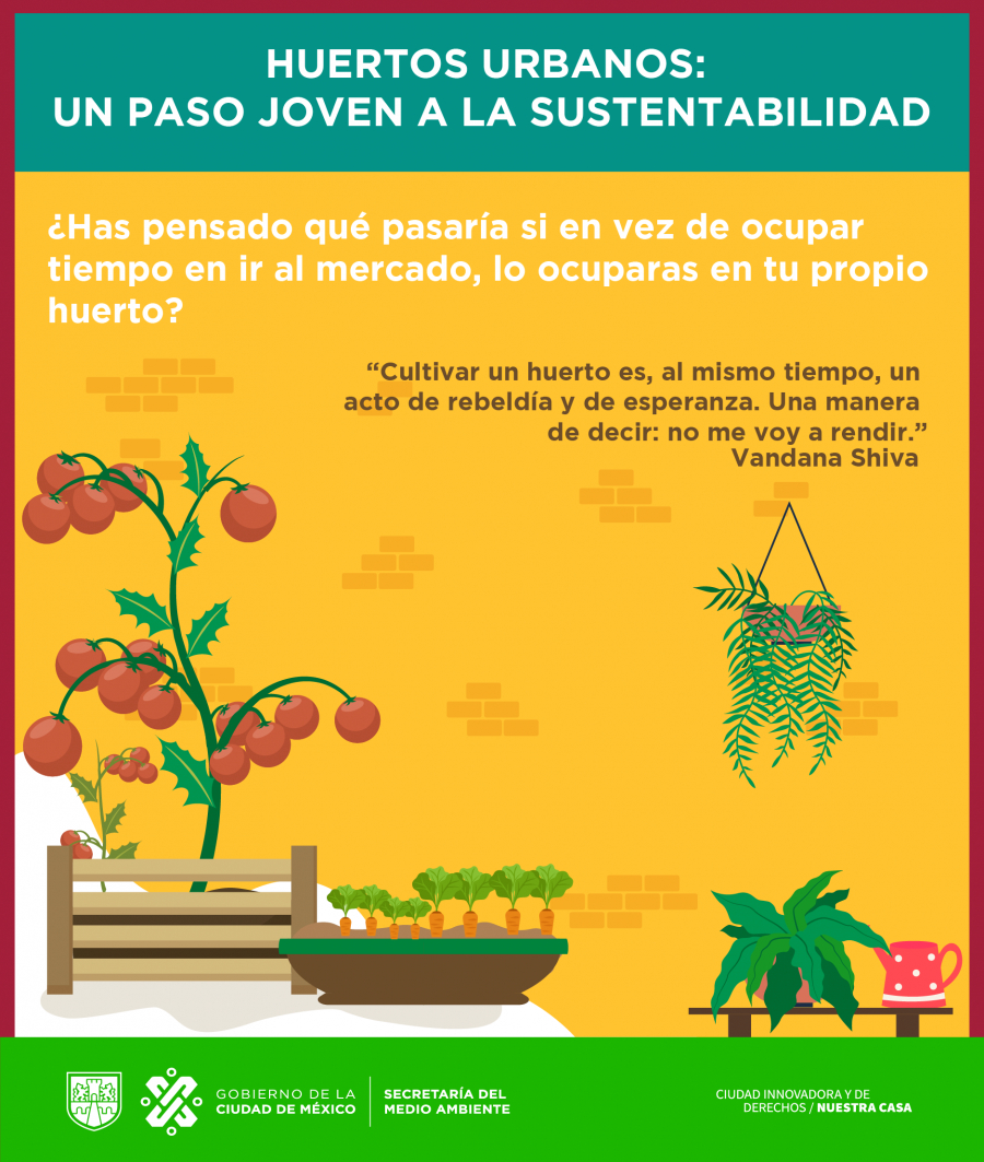Huertos urbanos como alternativa sostenible - Revista InfoAgro México