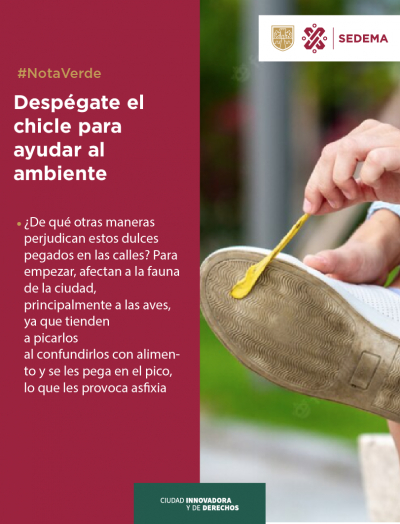 Despégate el chicle para ayudar al ambiente