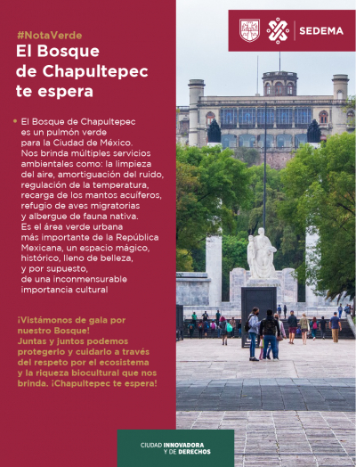 El Bosque de Chapultepec, te espera