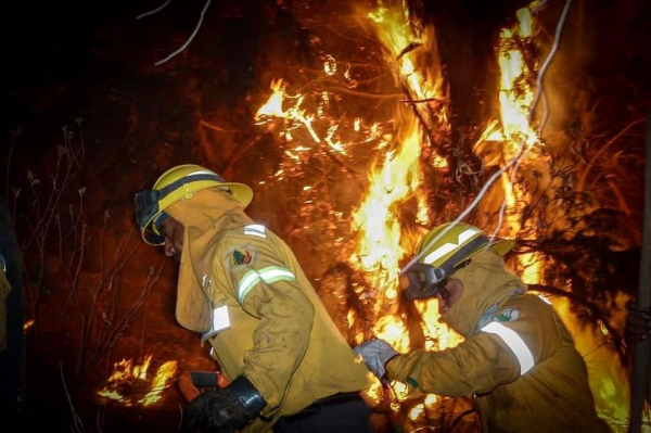 Ponte en sus botas: los bomberos forestales en CDMX