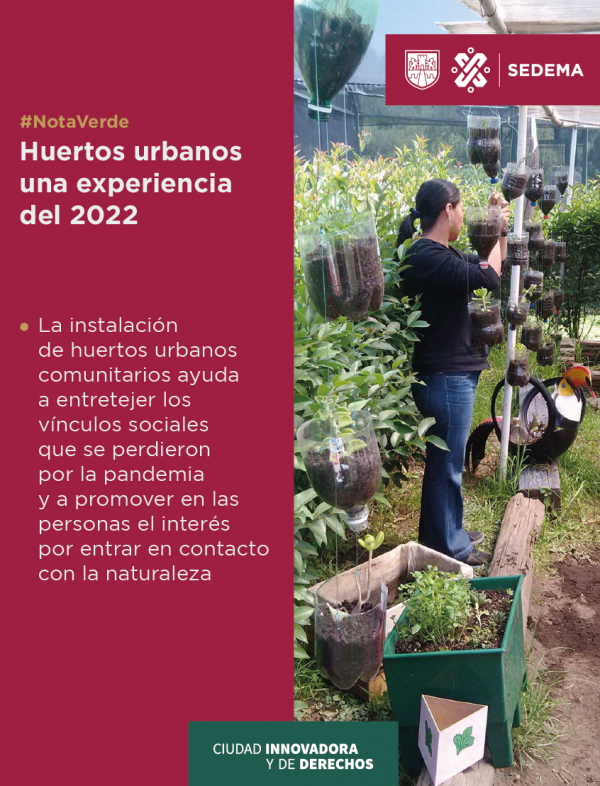 Huertos urbanos una experiencia del 2022