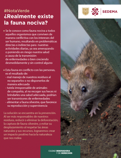 ¿Realmente existe la fauna nociva?