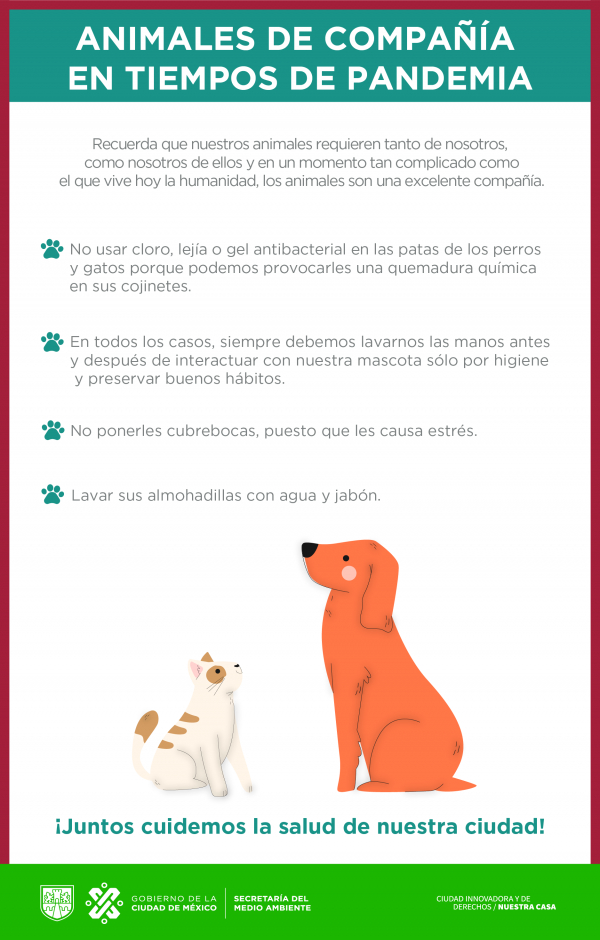 Animales de compañía en tiempos de pandemia