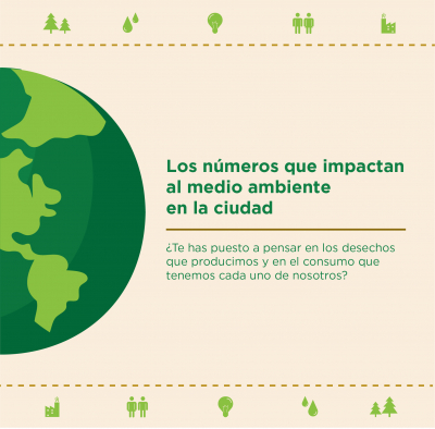 Los números que impactan al medio ambiente en la ciudad