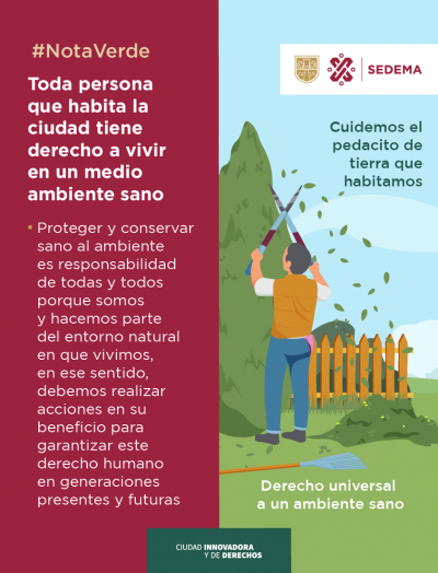 Toda persona que habita la ciudad tiene derecho a vivir en un medio ambiente sano