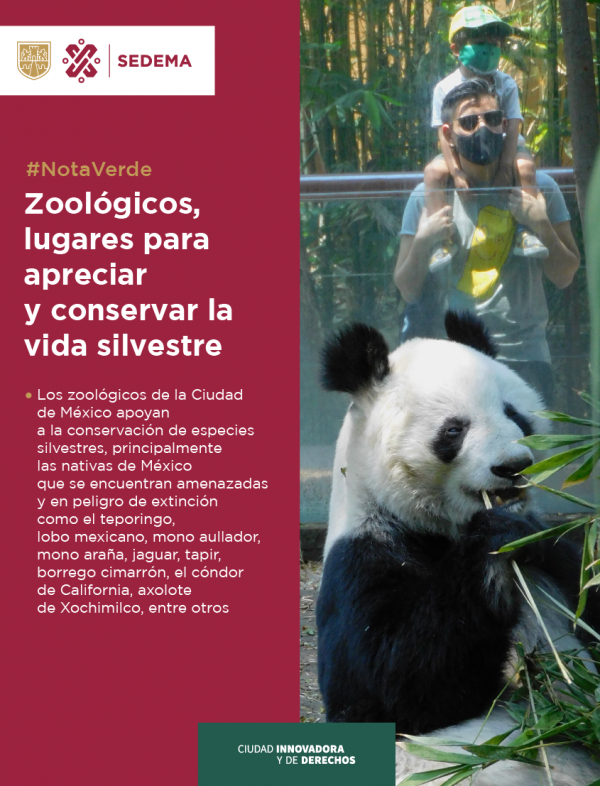 Zoológicos, lugares para apreciar y conservar la vida silvestre