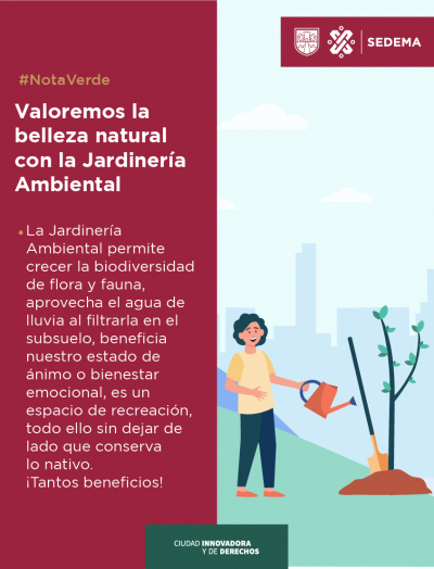 Valoremos la belleza natural con la Jardinería Ambiental