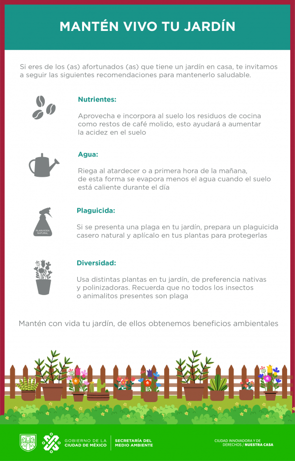 La jardinería ambiental, como espacio de re-creación