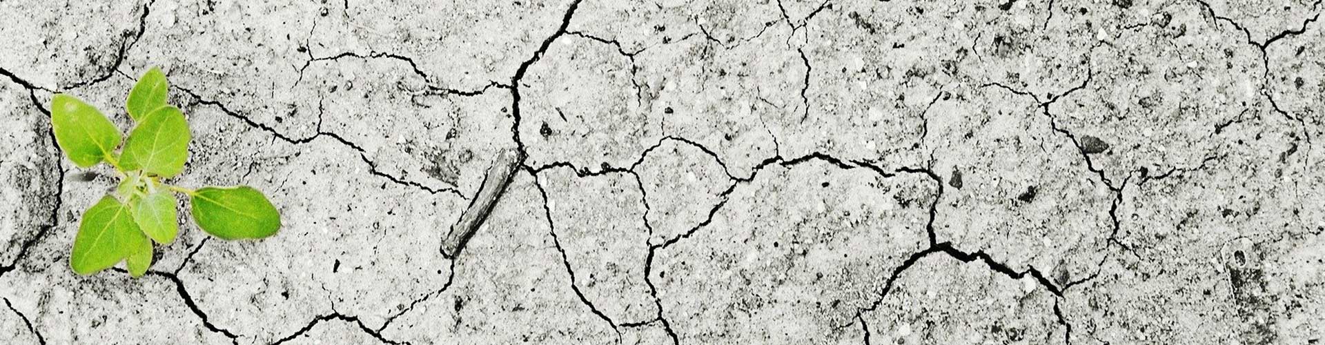 Ley de Mitigación y Adaptación