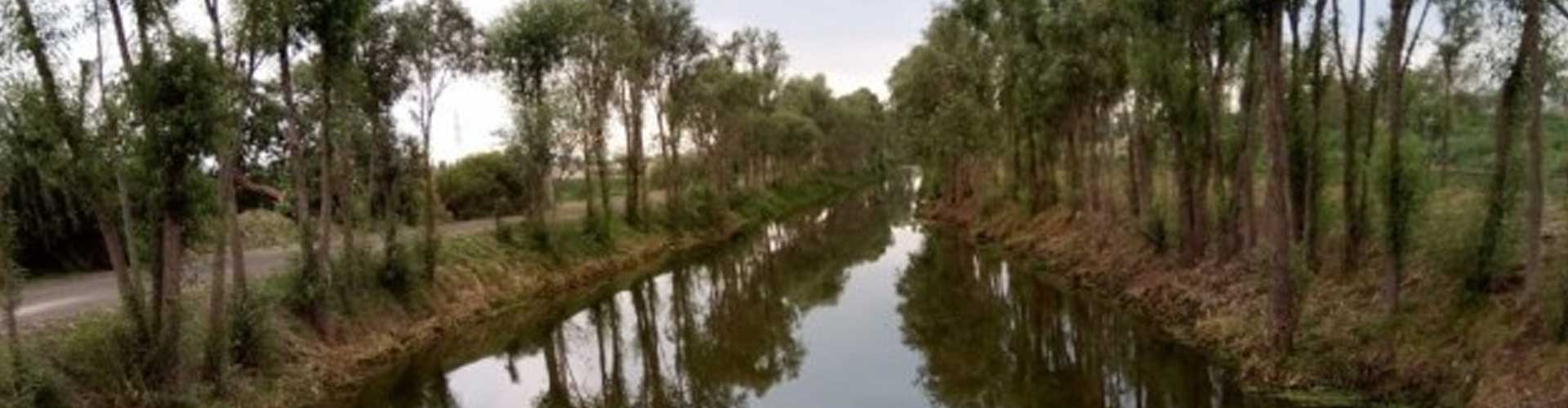 Estrategia de Biodiversidad