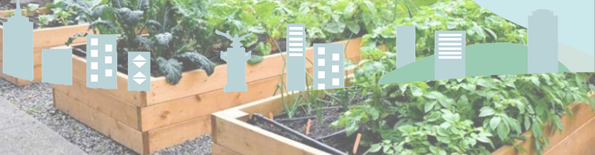 Ley de Huertos Urbanos