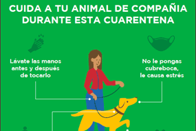 Animales de compañia