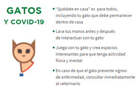 Animales de compañia