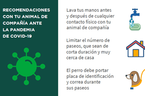 Animales de compañia