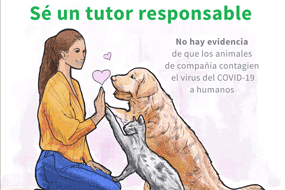 Animales de compañia