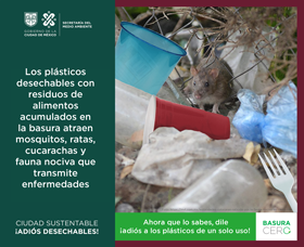 Los plásticos desechables con desechos alimenticios