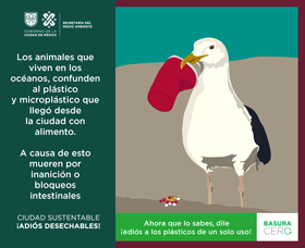 Los animales que viven en los océanos