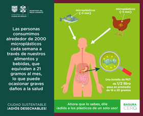 Consumimos alrededor de 2000 microplásticos cada semana
